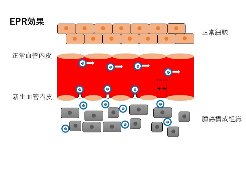 EPR効果