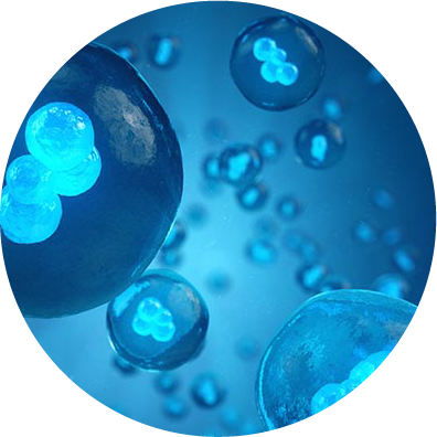 自家がんワクチン免疫治療