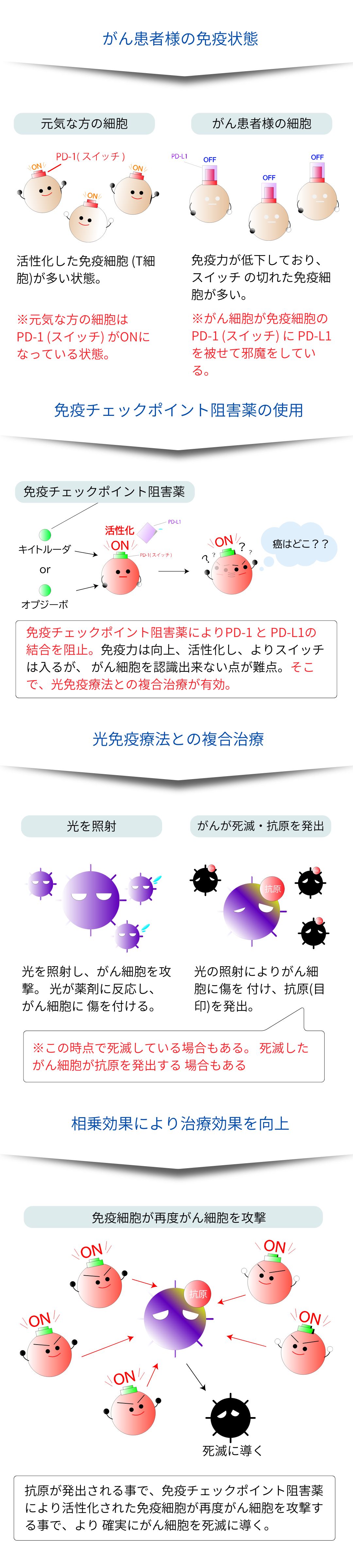 効果を向上させる複合治療