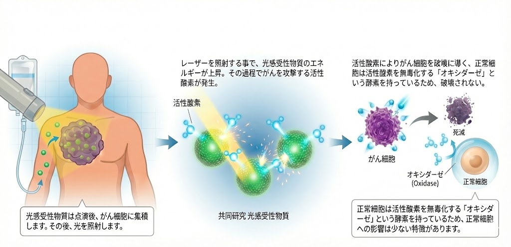より詳しく光免疫療法の解説