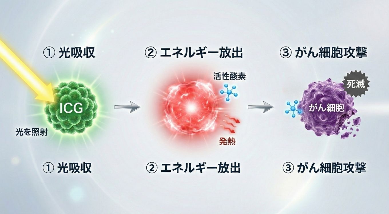 光感受性物質の反応