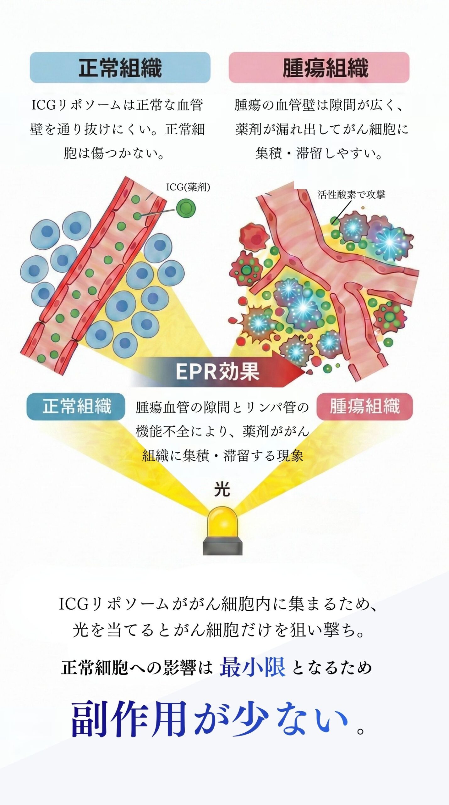 EPR効果により副作用が少ない
