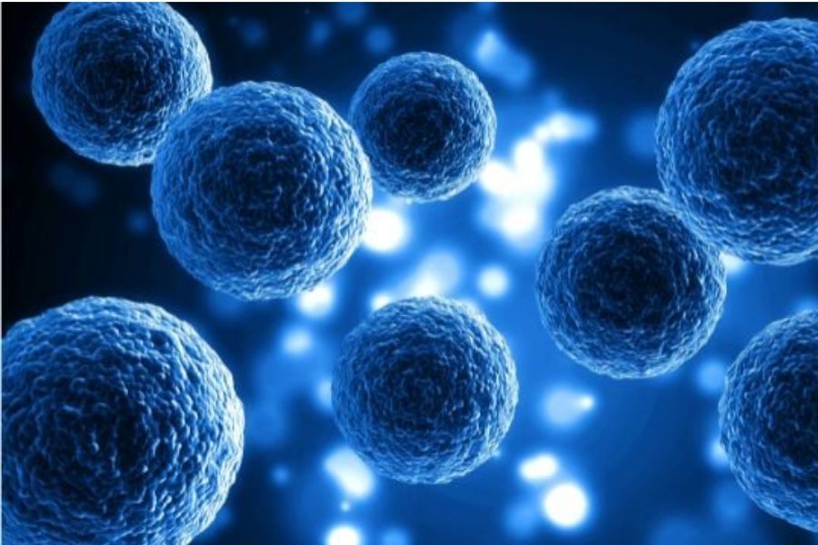 卵巣がんの全てのステージにも有効