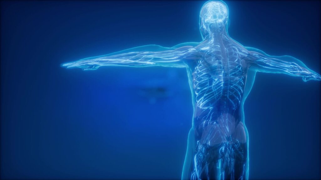 卵巣がんの再発・転移がんにも適応可能