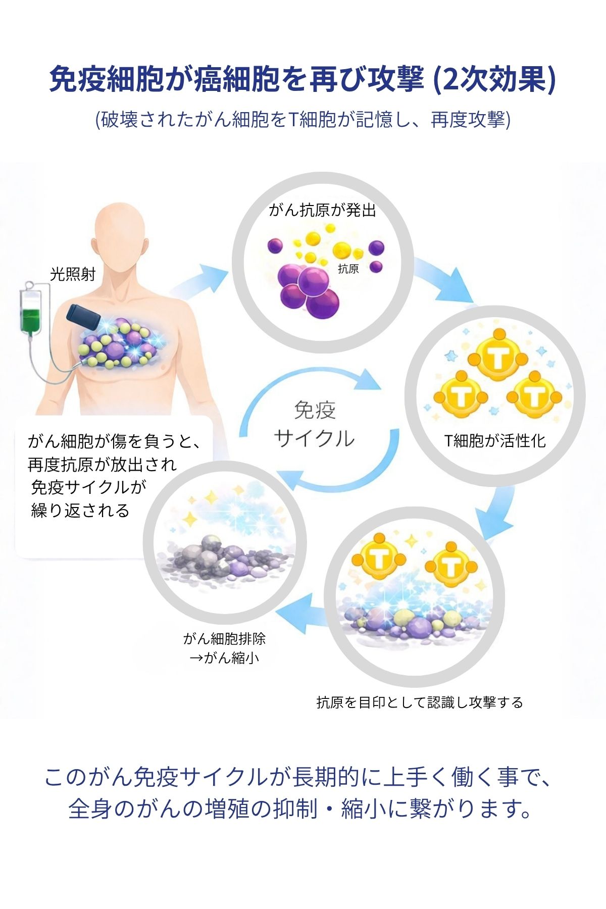 免疫療法2次作用