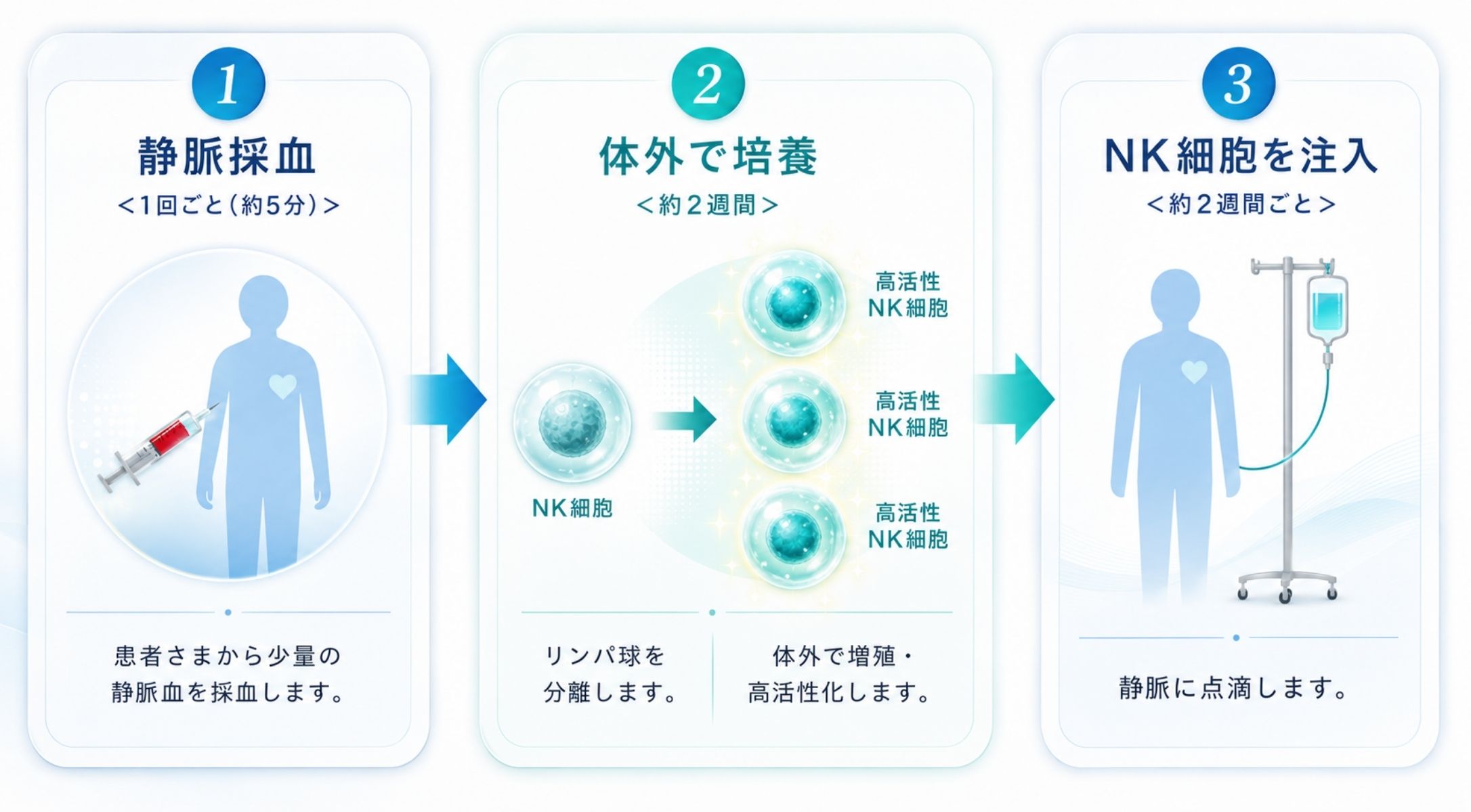 活性NK/NKT/γδT細胞療法の治療の流れ