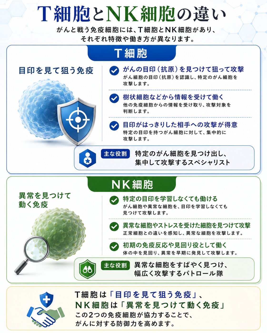がんと戦う免疫細胞であるT細胞とNK細胞の違い