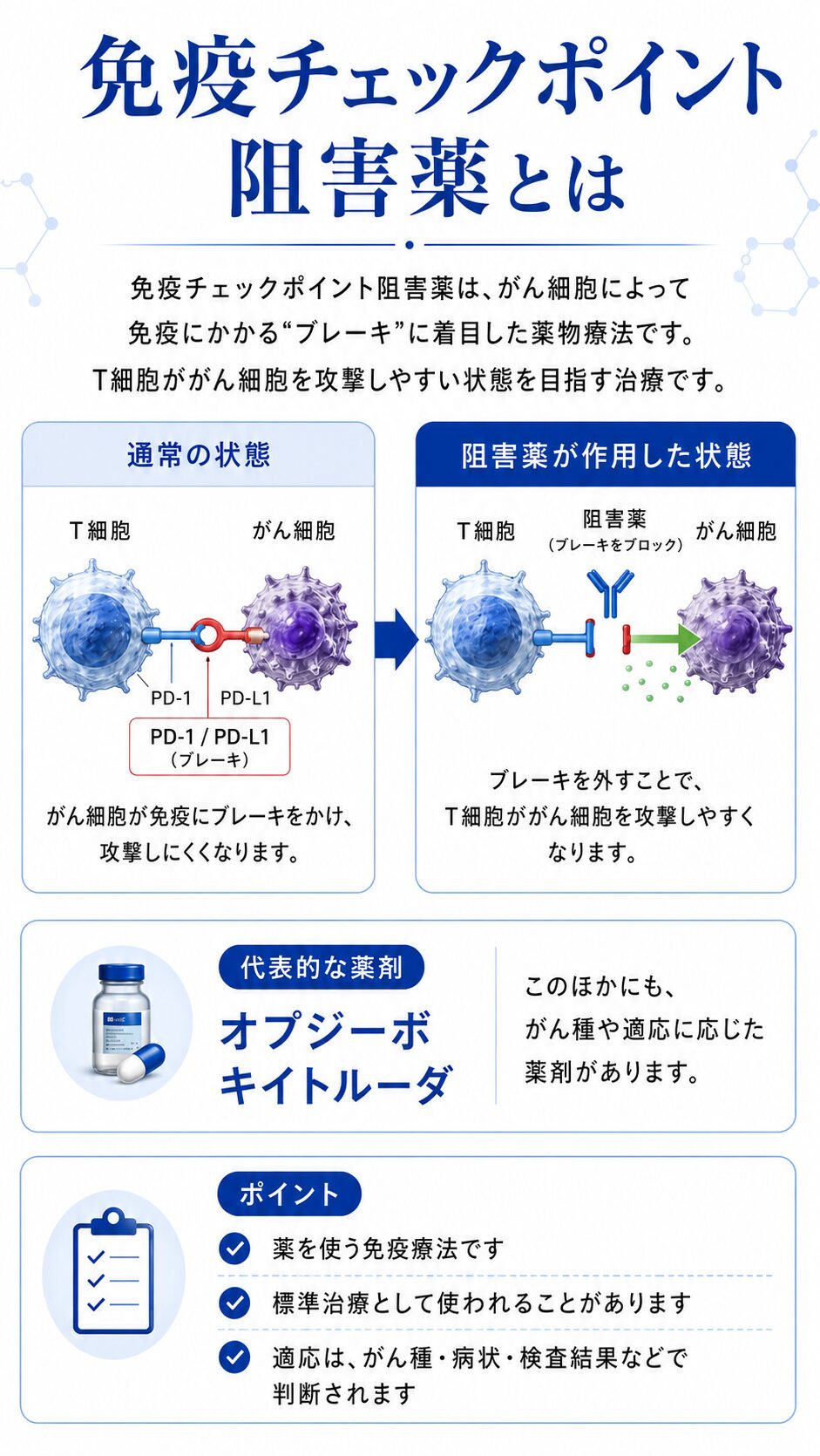 免疫チェックポイント阻害薬の仕組みとオプジーボ、キイトルーダの説明