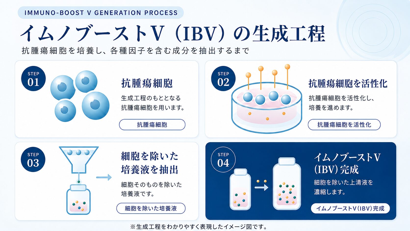 細胞機能増強因子を加えた抗腫瘍細胞の培養から、上清液を濃縮してイムノブーストV（IBV）が完成するまでの4工程